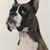 Cindy Beck's profile image