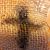 Charmaine Ellison Rainke's profile image