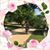Flor Cita's profile image
