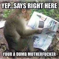 Jay Tothill's profile image