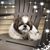 Pennie Leibensperger Kern's profile image
