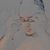 Cory Boaz's profile image