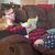 Branden T. Sprenger's profile image