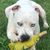 Niki Payne Wyatt's profile image