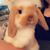 Bobbette Babb Hills's profile image