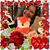 Valerie Pratt Park Stevens's profile image