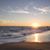 Michele Sullivan's profile image