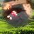 Diana Treadway's profile image