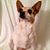 Jeff Stuhr's profile image
