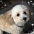Angie Sensat Richard's profile image