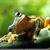 Wendy Cloninger's profile image