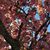 Paulette Mixon-Weller's profile image