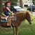 Bill D Rementer's profile image