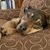 Carrie Rice's profile image