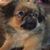 Karen Kazner Riley's profile image