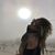 Melodie Blaize's profile image