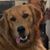 Marcia Steeby's profile image