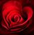 Irma Garza Flores's profile image