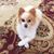 Laura Weimer's profile image