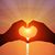 Sue Saucier's profile image