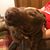 Susan Bettenbrock Appler's profile image