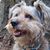 Angela Brown's profile image