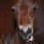 Linda Goddard's profile image
