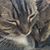 Ellen Block Rickel's profile image