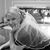Traci Zillmer's profile image