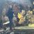 Alice C. Panneiwai's profile image
