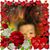 Diana Cain's profile image