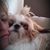 Laura Compton's profile image