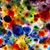 Tracy McCormick's profile image