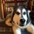 David Morris's profile image