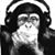 Michael J. LaJaunie's profile image