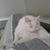 Karen Baxter's profile image