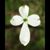 Marietta Cooley's profile image