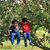 Sraboni Dutta Biswas's profile image