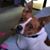 Heather Jones's profile image