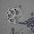Jacob Guell's profile image