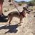 Alana Packard-Armendariz's profile image