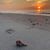 Leane Bergeron's profile image