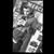 Andres Cardozo's profile image