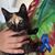 Liz Hatfield's profile image