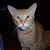 Peggy White's profile image