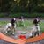 Loraine Scammell-cyster's profile image