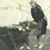 Shawn Schoonmaker's profile image