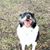 Andrew McKinlay's profile image