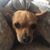 Dawn Hurren's profile image