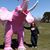 Dawna Stintzi's profile image